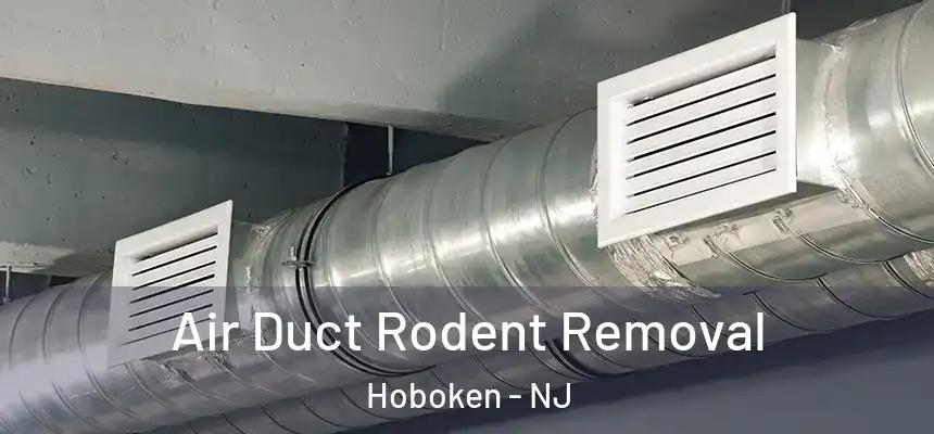 Air Duct Rodent Removal Hoboken - NJ