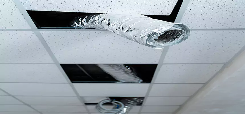 Affordable HVAC Sanitizing After Pest Removal in Hoboken