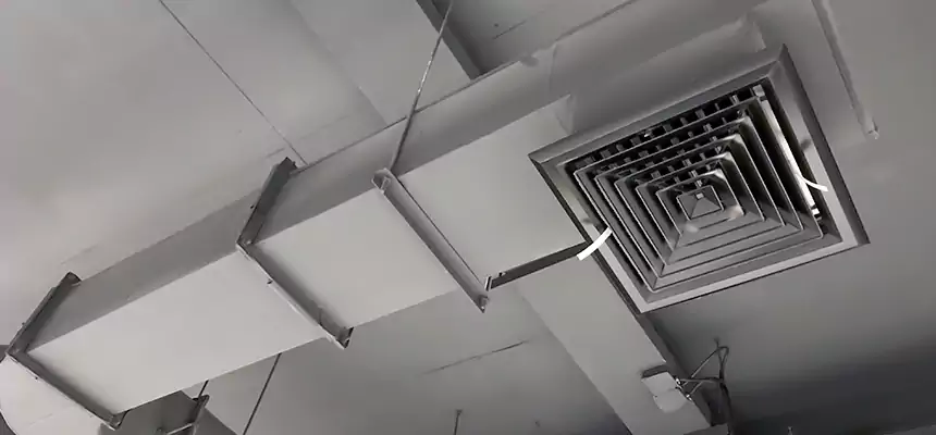 Our Pest Removal From Ducts Services in Hoboken, NJ