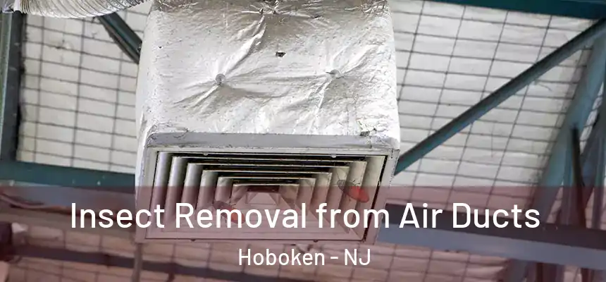 Insect Removal from Air Ducts Hoboken - NJ