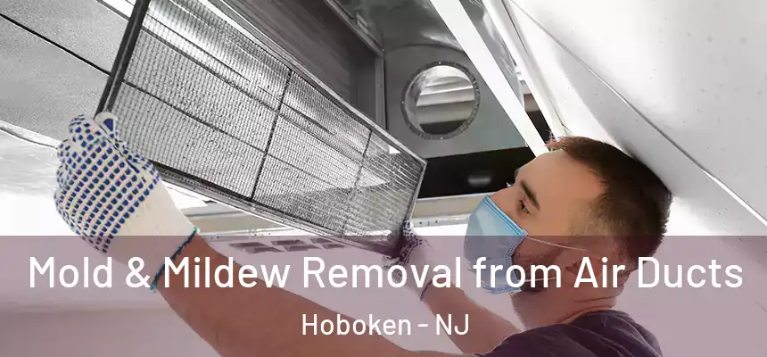 Mold & Mildew Removal from Air Ducts Hoboken - NJ