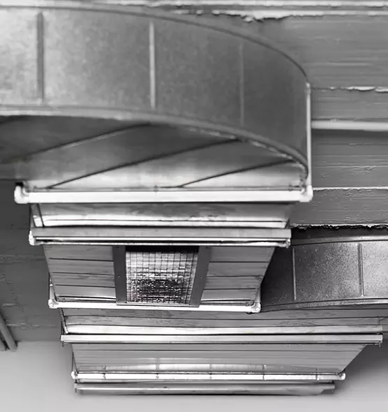 Professional Air Duct Pest Removal in Hoboken, NJ