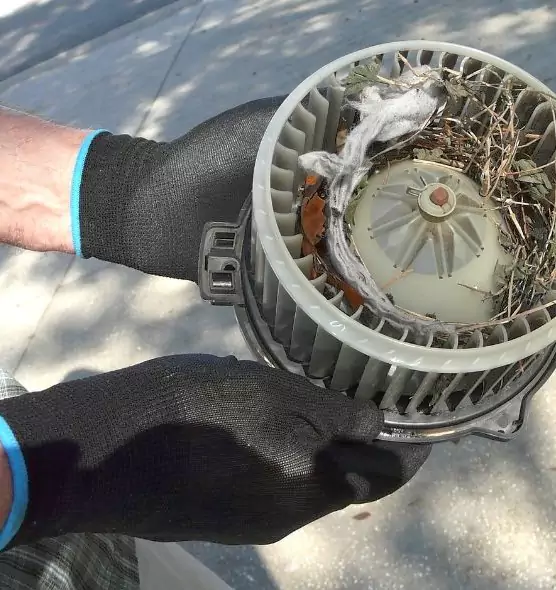 About Air Duct Rat Removal in Hoboken, NJ