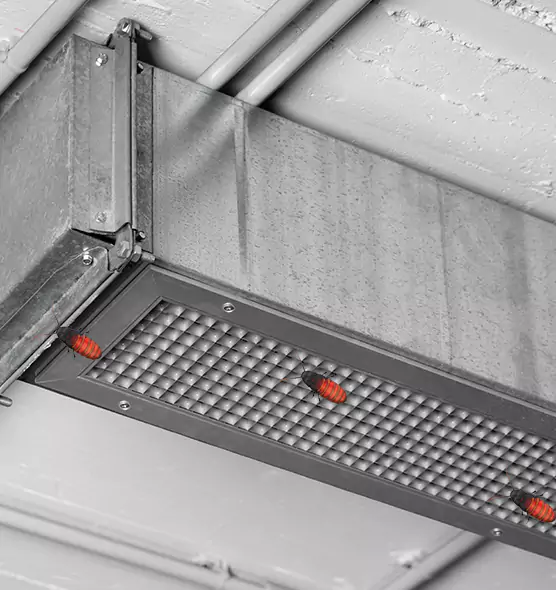Affordable Insect Removal from Air Ducts in Hoboken, NJ