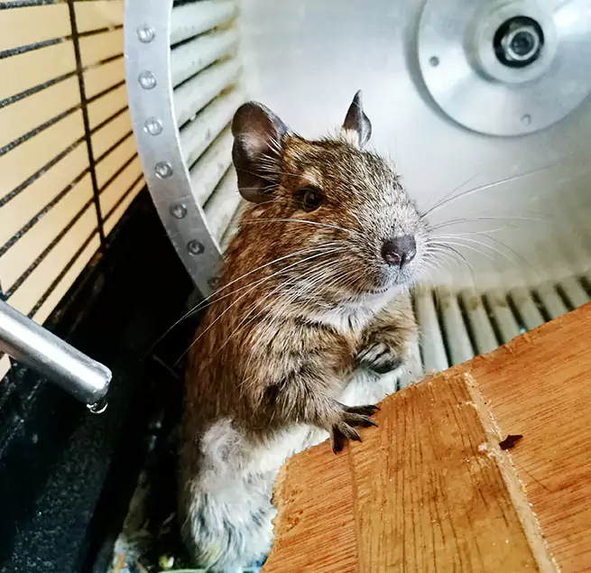 Why Homeowners & Businesses Trust Us Hoboken, NJ?