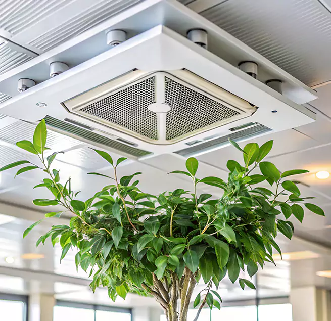 Why Homeowners & Businesses Trust Us in Hoboken, NJ