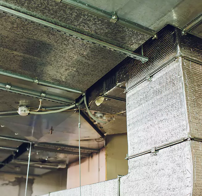 Why Homeowners & Businesses Trust Us in Hoboken, NJ?